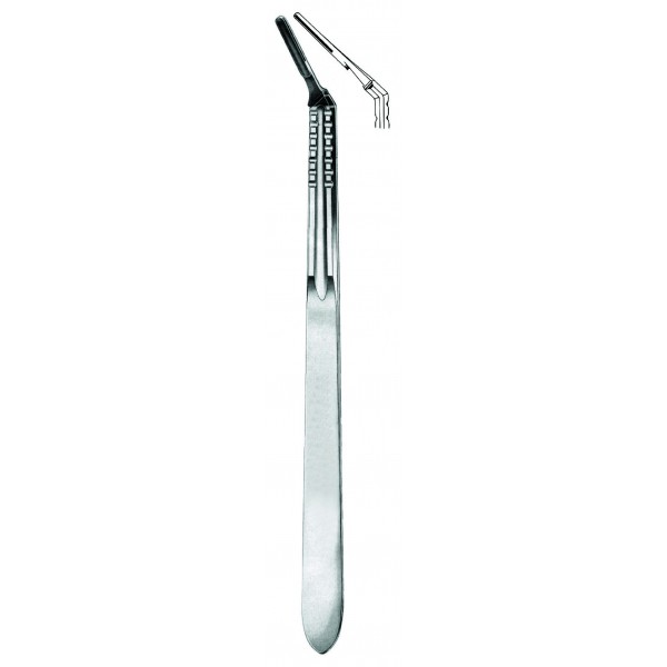 MI-01-1002-4XL