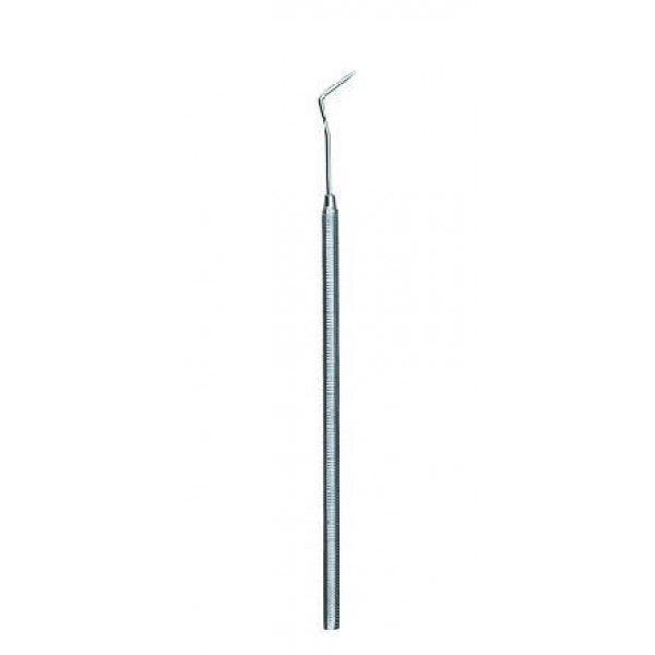 Probe 