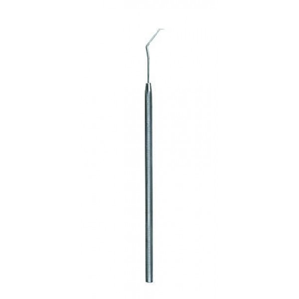 Probe 