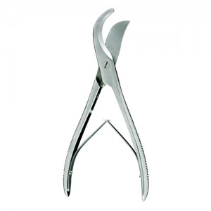Rib Shear